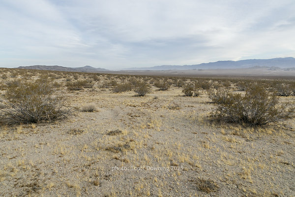  D012341