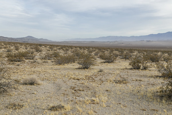  D012342