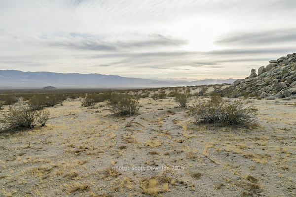  D012339