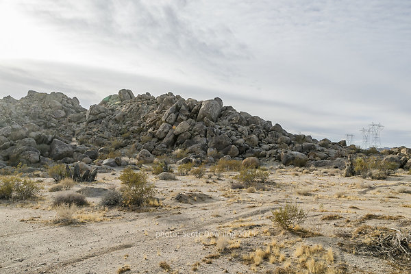  D012288