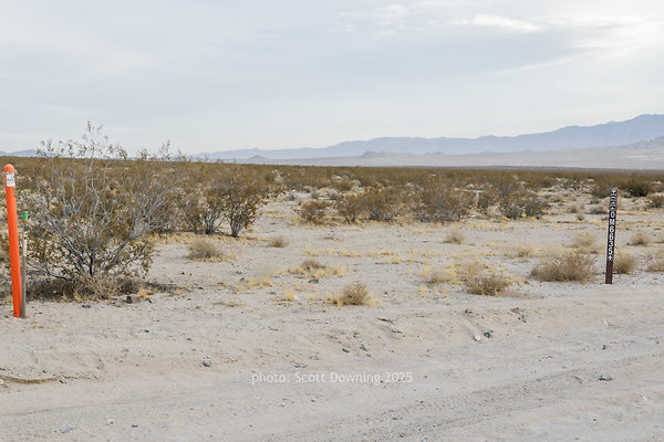  D012363