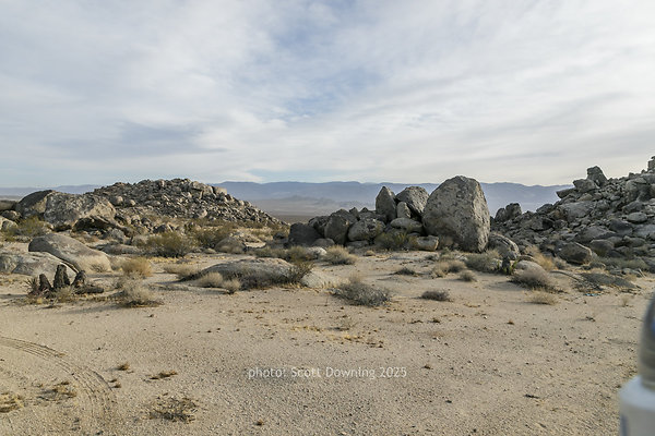  D012279