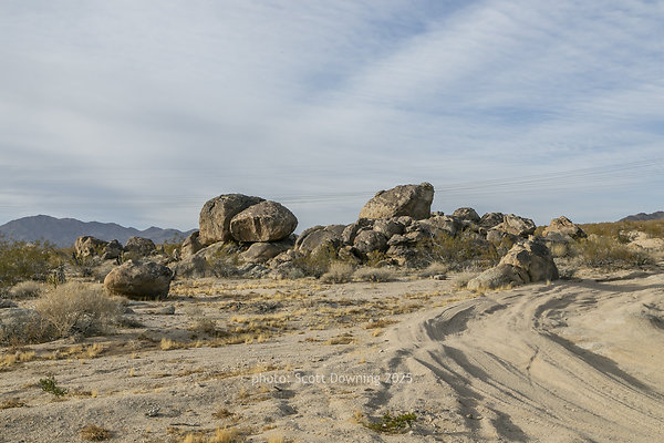  D012287