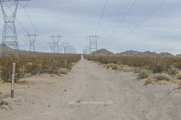 D012365