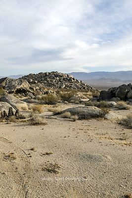  D012278