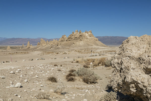  D012191
