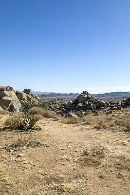  D012153