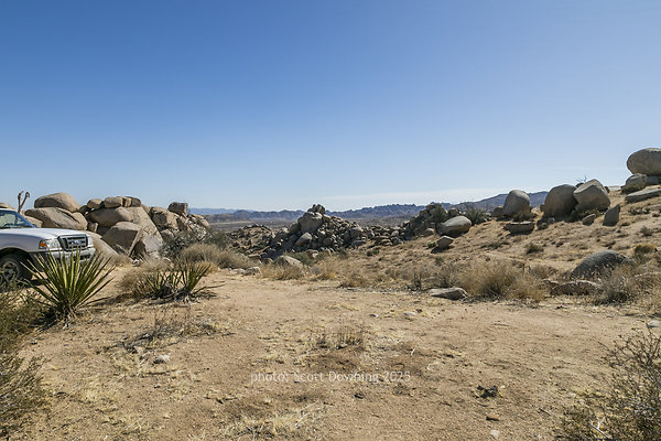  D012154