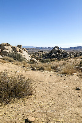  D012156