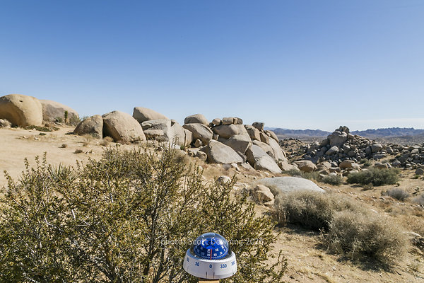  D012131