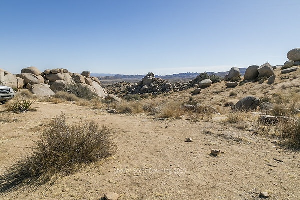  D012157