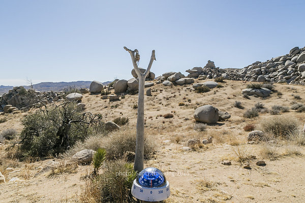  D012132