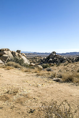  D012155