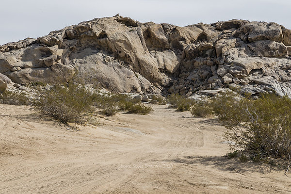 CougarButtes 2