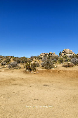  D012104