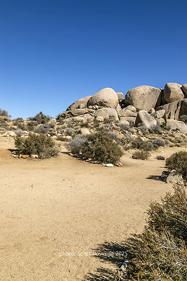  D012103