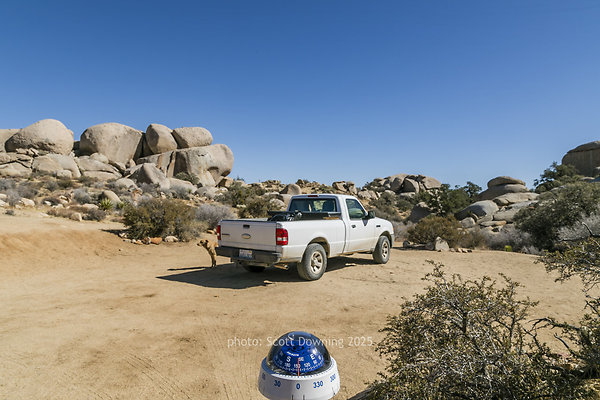  D012123