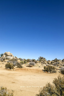  D012102