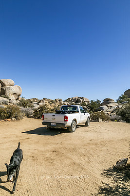  D012121