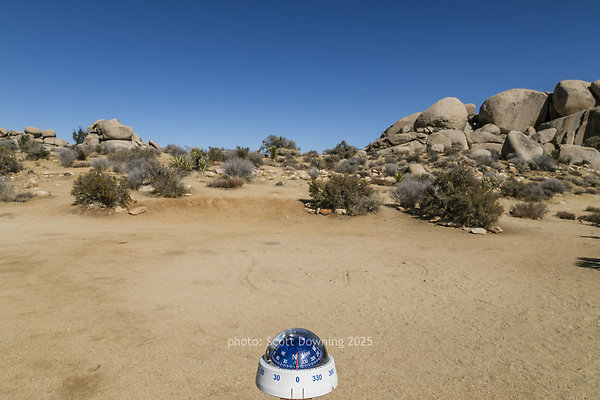  D012101