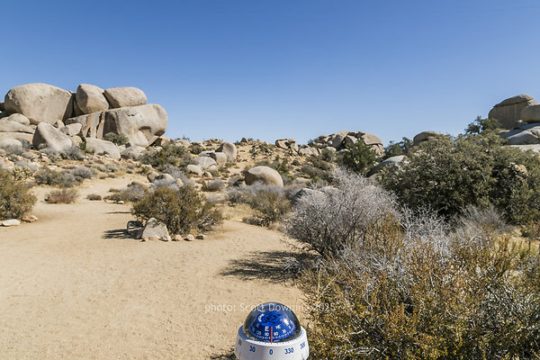  D012097