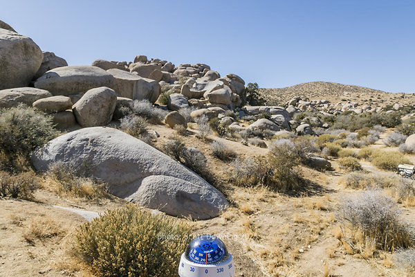  D012099