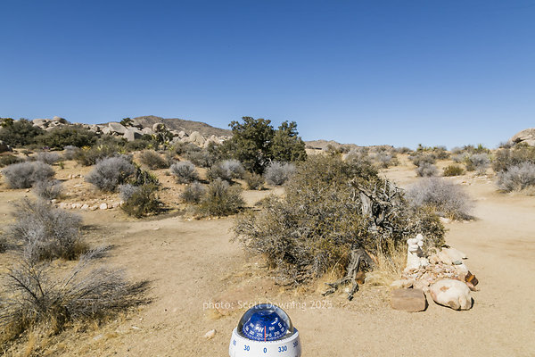  D012100