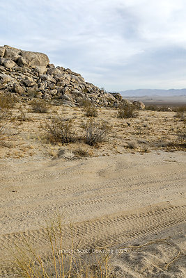  D012318