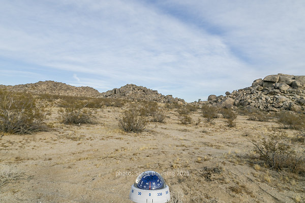  D012311