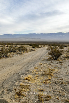 D012319