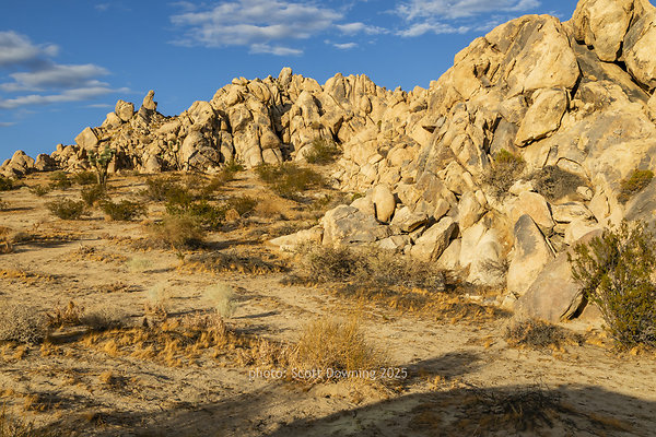  D012353