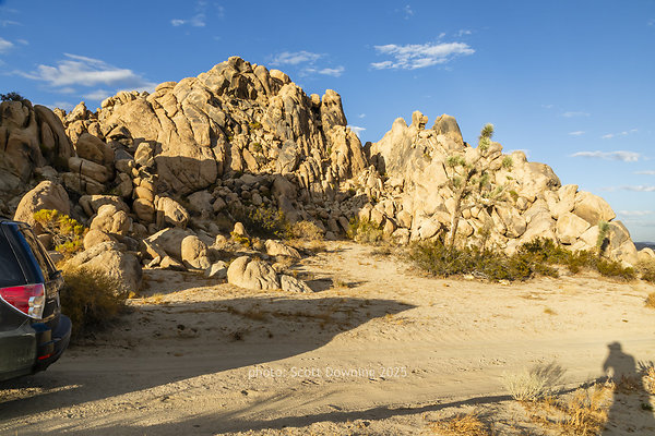  D012344
