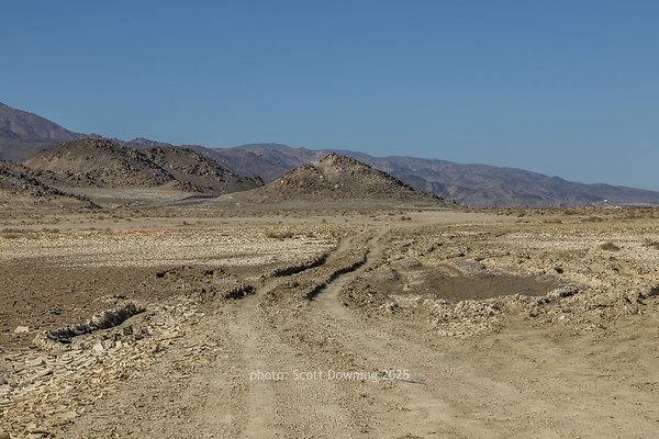  D012266