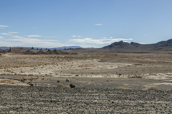  D012253