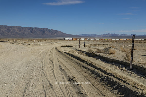  D012271