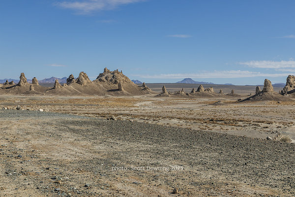  D012251