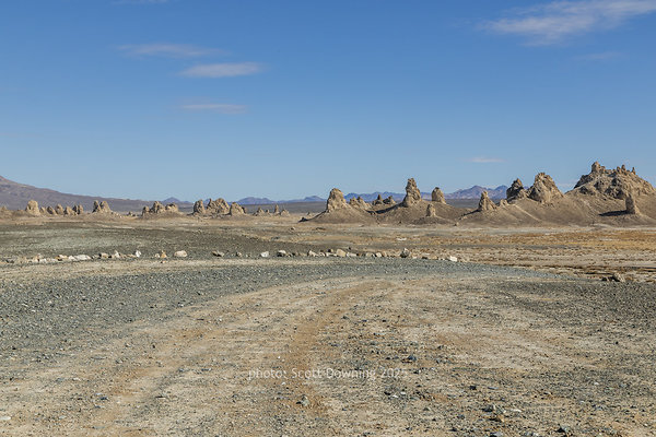 D012250
