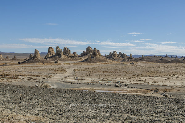  D012252