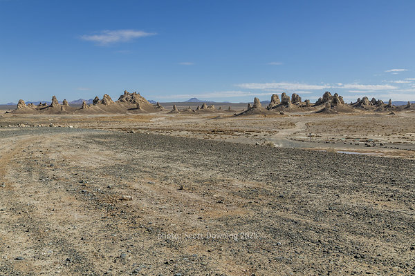  D012254