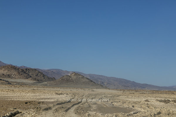  D012260