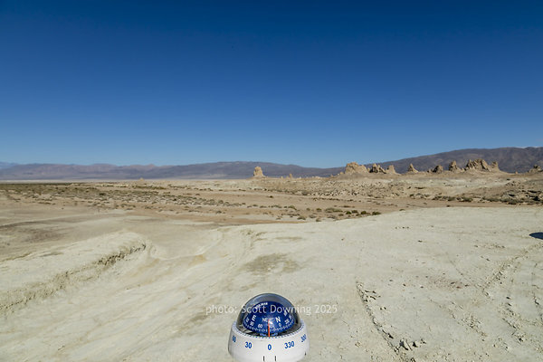  D012217
