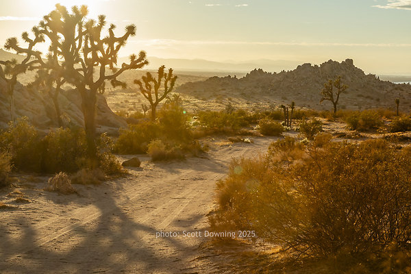  D012416