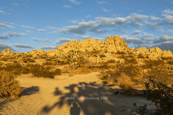  D012433
