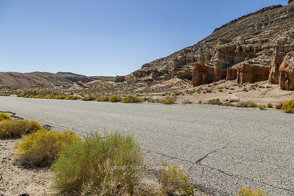  D012013