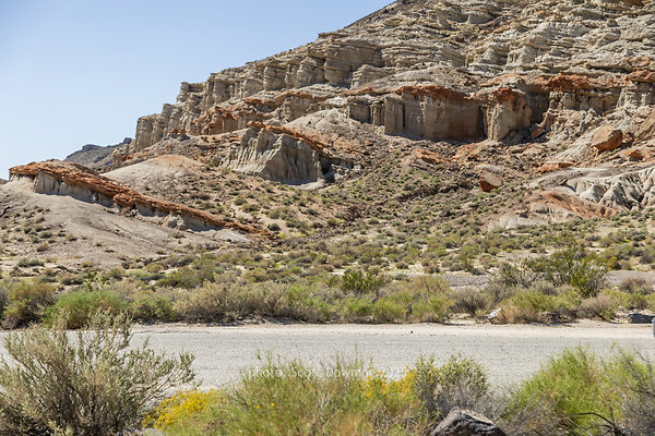  D011970