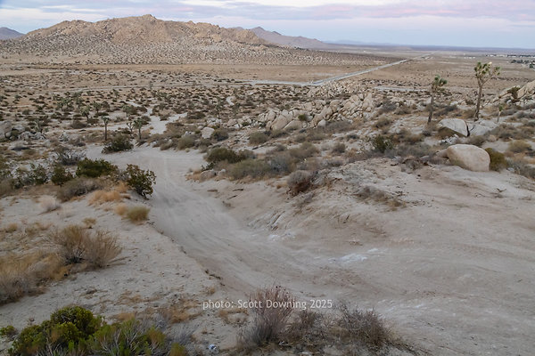  D012499