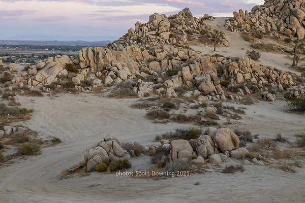  D012493