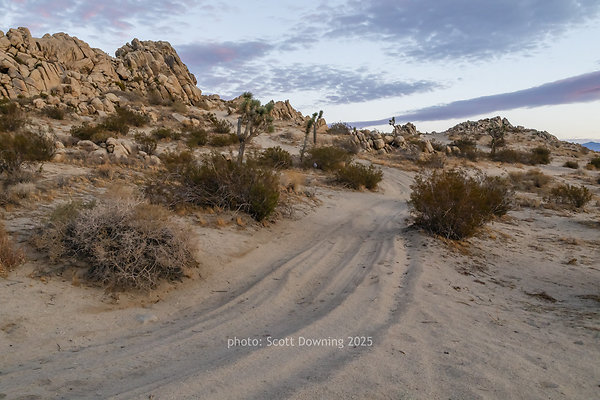  D012502