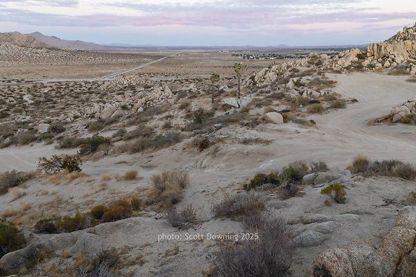  D012498