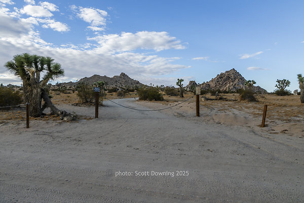  D012276